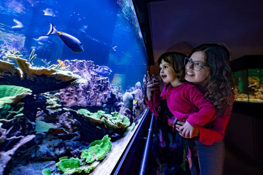 JuraMuseum Eichstätt